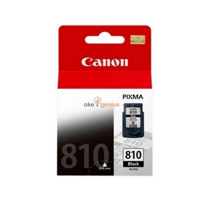 Canon Ink Cartridge PG-810 Black