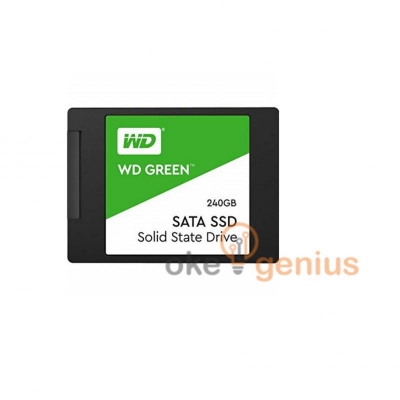 SSD Green 240 GB [WDS240G2G0A]