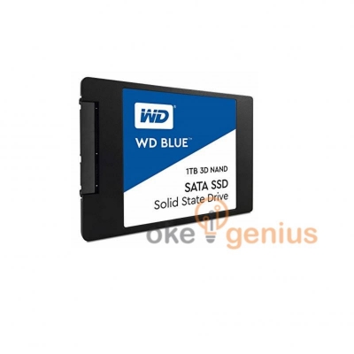SSD BLUE 1 TB [WDS100T2B0A]