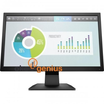 P204v 19.5-inch Monitor (5RD66AA)