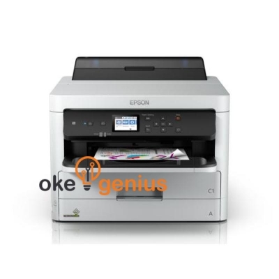 Printer WF-C5290