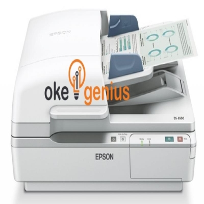 Scanner DS-6500