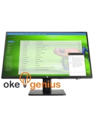 Monitor P241v 23.8-inch 6CQ79AA