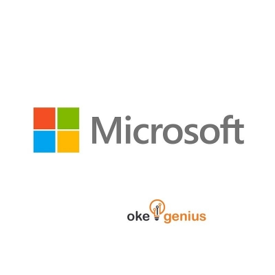 Microsoft SQL Server 2019 Standard OLP NL Gov 228-11487