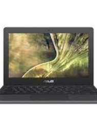 Asus Chromebook C204MA-BU1431 TOUCH
